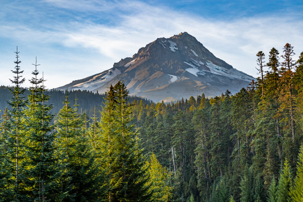 Mount Hood, Mt Hood, Portland, Oregon, Forest