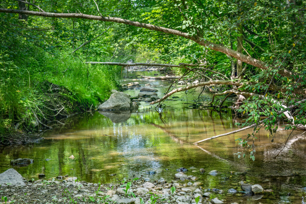 Creek, Baird Creek, Nature