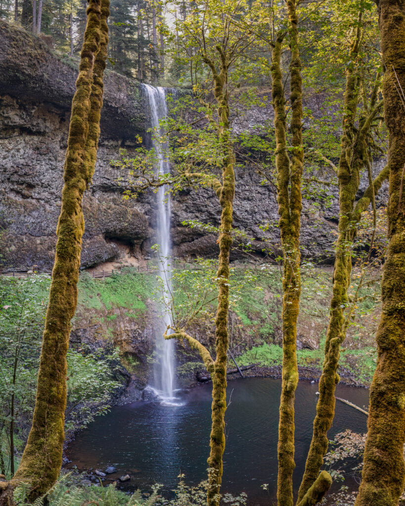 South Falls, Silver Falls State Park, Waterfall