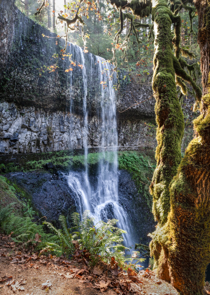 Silver Falls State Park, Waterfall, Pano