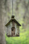 Birdhouse, Weathered, Wood, Old