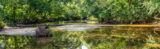 Creek, Reflection, Water